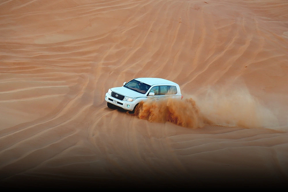 desert safari (21)