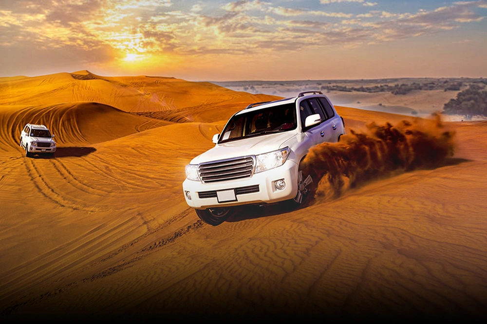 desert safari (35)