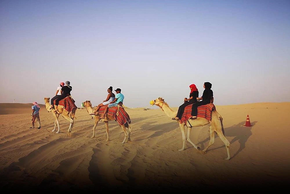 desert safari (68)