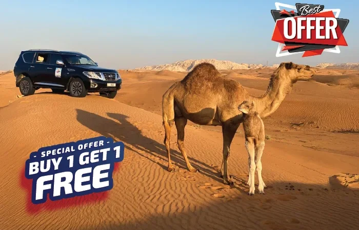 evening desert safari