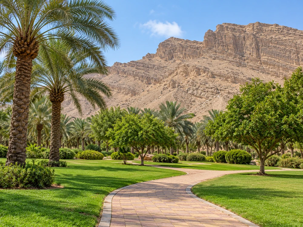 Green landscape in Al Ain near Jebel Hafeet